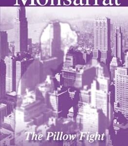 La bataille d'oreillers. La plateforme e-commerce qui démocratise la consommation : Diaytar