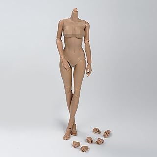 Échelle 1/6, corps féminin bronzé de 12 pouces à mi-poitrine de la collection