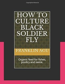 Comment culturer la mouche soldat noire : aliments biologiques pour poissons, volailles