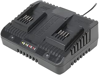 Chargeur de batterie worx double port 18v/20v wa3772