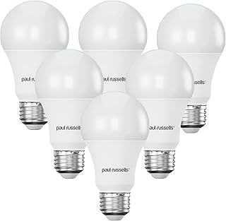 Ampoule led paul russells screw e27 équivalent 100 w ampoules 15