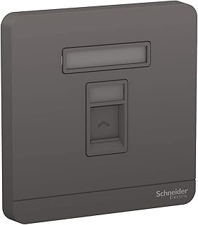 Schneider electric avatar sur prise de plaque murale keystone 1 groupe e8331rjs_dg
