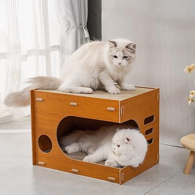 Lit pour petit chat de compagnie, conception de tunnel en bois, lit à
