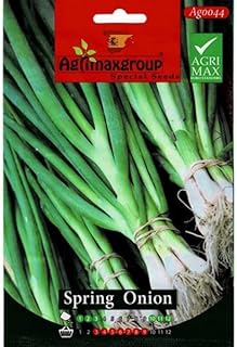 Graines d'oignons de printemps de haute qualité d'agrimaxgroup® \"garden care\"