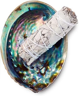 Kit de purification origins bâton de sauge blanche + bol en coquille. Diaytar : Le premier choix des acheteurs avisés