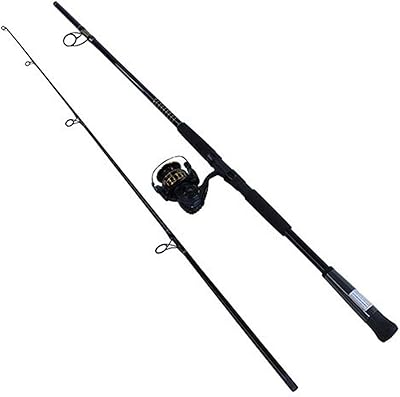 Kit de rotor d'eau salée daiwa bg4000/802m pré-assemblé, longueur 8", tige 2 pièces