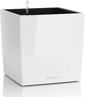 Pot de sol de jardin auto-câblage lechuza cube pour espaces intérieurs et extérieurs