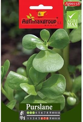 Graines de pourpier de haute qualité d'agrimaxgroup® \"garden care\"