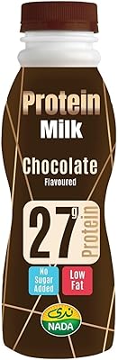 Lait protéiné au chocolat nada 320 ml