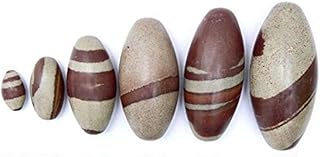 Pandit nm shrimali narmadeshwar shivling original narmada linga pierre naturelle seigneur shiva narmada