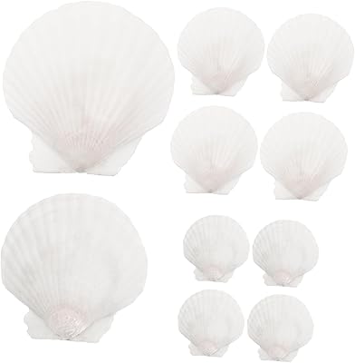 10 pièces kit de perles décoration de coquillages naturels artisanat en vrac. Découvrez Diaytar, la marketplace sénégalaise qui révolutionne vos achats en ligne