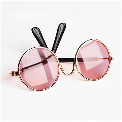 Lunettes de soleil arabes pour animaux de compagnie lunettes rondes classiques en métal