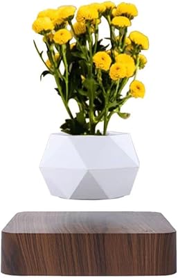 Pot de plante flottant wetseek pot de bonsaï à air rotatif magnétique