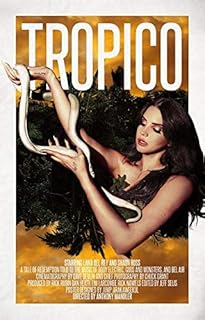 Affiche de l'auteur-compositeur-interprète divine lana del rey 12 x 18 pouces citation