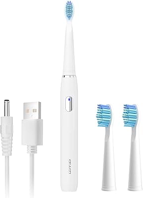 Brosse à dents électrique sego brosse sonique rechargeable avec 3 têtes de brosse