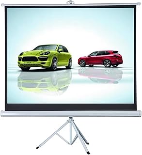 Écran de projecteur 50" avec support projection intérieur et extérieur pour cinéma