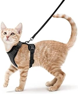 Harnais pour chat anti-évasion en maille réglable et personnalisé pour la marche