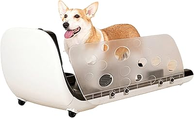 Promeneur pour chiens, tapis roulant pour animaux de compagnie avec clôture de sécurité