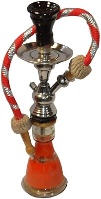 Un ensemble complet de safaris à chicha égyptiens