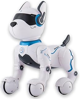 Jouet pour chien robot télécommandé robots pour enfants jouets télécommandé pour enfants âgés