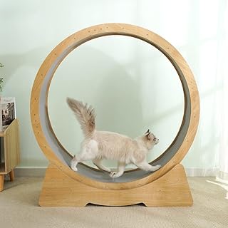 Vélo d'exercice pour chat newstyle, grand tapis roulant silencieux pour animaux de compagnie