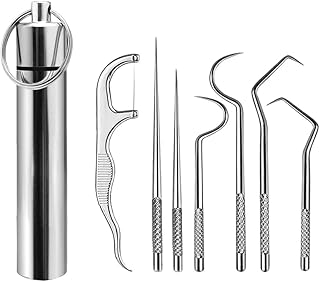 Ensemble de 7 cure-dents de poche portables, cure-dents en métal avec support