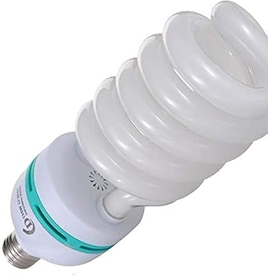 Ampoule fluorescente ordinaire couleur blanche