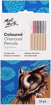Crayons de couleur au fusain 12 pièces