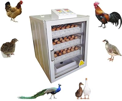 Incubateur d'œufs cox 126-150, incubateur de poulet, mère artificielle, abreuvoir, dispositif de test d'œufs, 3 tailles pour retourner les œufs. Profitez des meilleurs deals du Sénégal sur Diaytar