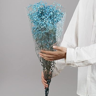 Bouquet de fleurs séchées 17 pouces, plus de 3000 branches de gypsophile naturelles