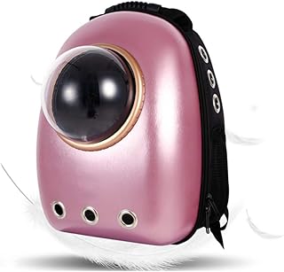 Capsule spatiale sac à dos pour animaux de compagnie chat voyage sac