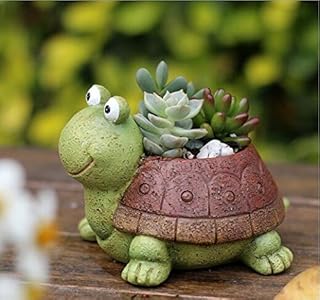 Pot de plante pinoster, vase succulent d'animal de dessin animé mignon, pots