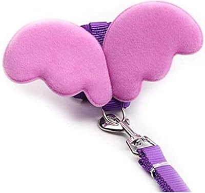 Ensemble de laisses et colliers pour chiens ailes d'ange pour animaux de compagnie