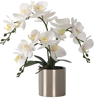 Fleur d'orchidée artificielle lessing avec vase fleurs d'orchidées blanches bonsaï orchidée phalaenopsis