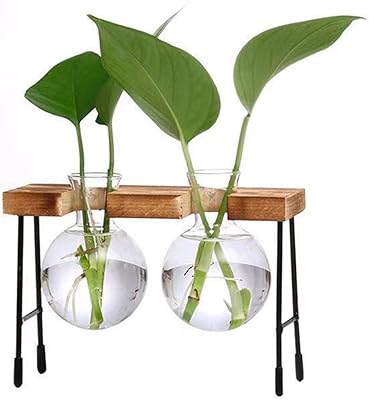 Pot de fleur de bureau en verre à 2 lumières avec cadre