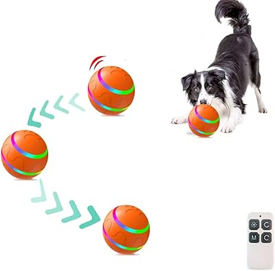Balles interactives télécommandées beauty pour chiens, balles interactives pour chiens avec télécommande, balle à roulement automatique pour chiens de taille moyenne (orange). Un océan de bonnes affaires sur Diaytar Sénégal