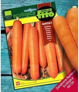 Graines de carotte nantessa biologiques de haute qualité de phyto ecologica