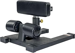 Support de squat, machine multifonctionnelle de squat profond, équipement d'exercice de chaise romaine