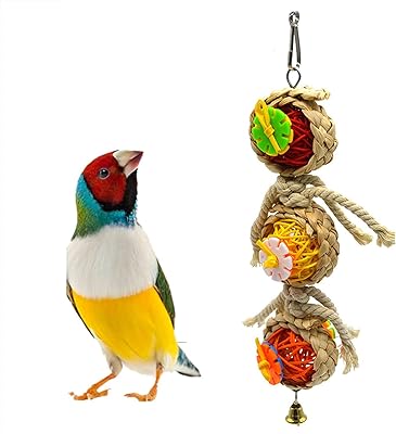 Jouets de cage à perroquets, jouets de balançoire pour oiseaux avec cloches