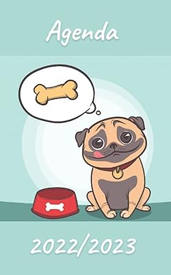 Agenda 2022/2023 : planificateur scolaire journalier | emploi du temps | calendrier | cette page aujourd'hui. Diaytar : Des prix mini pour un service maxi