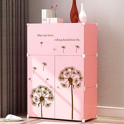 Armoire à étiquettes modulaire pour ranger et organiser les chaussures en plastique, étagère