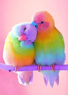 Kit de peinture diamant couleur perroquet 5d, kit de peinture diamant strass cristal pour enfants, accessoires de peinture de broderie avec diamants 12 x 16 pouces. Diaytar : Le discount intelligent pour consommateurs avisés