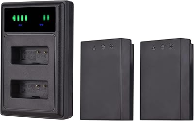 Batterie lp-e12 usb lp-e12 batterie d'appareil photo double canal + 2