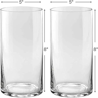 Ensemble de 2 vases ronds en verre de 8" x 5" - polyvalents
