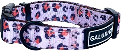 Collier pour chien jalodia pour chiens de petite, moyenne et grande taille, entièrement