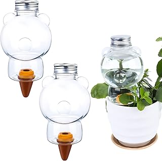 Boules d'arrosage pour plantes d'ours boules automatiques transparentes pour plantes épines en terre