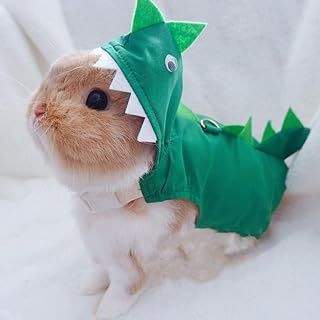 Costume de cosplay d'halloween lapin dinosaure avec capuche réglable pour fête d'halloween costume de cosplay séance photo pour lapins chinchilla cochon d'inde chatons chiots petits animaux (s). Diaytar Sénégal : La marketplace qui pense à votre porte-monnaie
