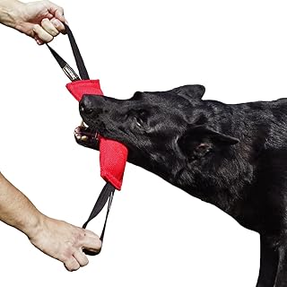 Dingo gear dog training k9 igp ipo schutzhund blind search prey drive fetch