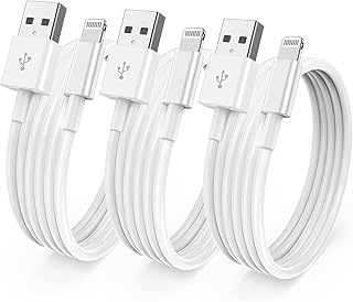 Chargeur iphone 10 pieds de lightning vers usb pieds certifié apple