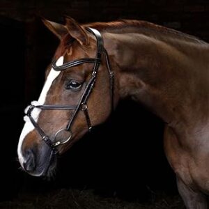 Bride de quiscale harry hole craft cottage | cheval anatomique muserolle en épi. Diaytar : Votre allié pour des achats malins et économiques